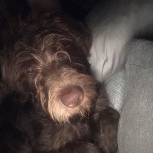 Meet your Posher, Jenny